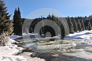 Winter on frumoasa river,romania