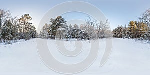 Winter full spherical hdri panorama 360 degrees angle view on path  in snowy pinery forest  in equirectangular projection. VR AR