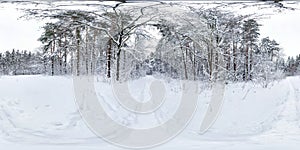 Winter full spherical hdri panorama 360 degrees angle view on path  in snowy pinery forest  in equirectangular projection. VR AR