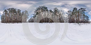 Winter full spherical hdri panorama 360 degrees angle view in snowy pinery forest with blue sky and sunny evening in