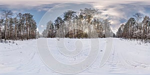 Winter full spherical hdri panorama 360 degrees angle view in snowy pinery forest with blue sky and sunny evening in