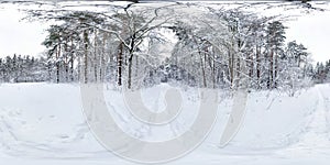 Lleno esférico 360 grado ángulo sobre el El camino en nevado Bosque en proyecciones. 