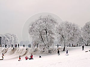 Winter fun in the city park