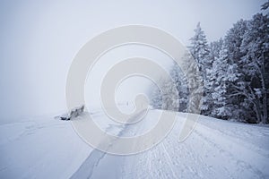 Winter in the Gantrisch Area, Berner Oberland