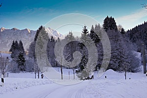 Winter in Garmisch photo