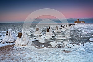 Winter ghosts of the Baltic Sea in Babie DoÅ‚y at sunset, Gdynia. Poland