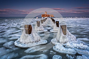 Winter ghosts of the Baltic Sea in Babie DoÅ‚y at sunset, Gdynia. Poland