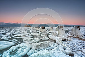 Winter ghosts of the Baltic Sea in Babie DoÅ‚y at sunset, Gdynia. Poland