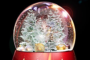 winter glass ball on a table