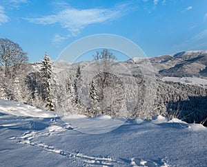 Winter Gorgany massiv mountains scenery view from Yablunytsia pass, Carpathians, Ukraine