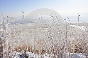 Winter grassland with wind Turbines