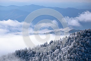 Winter, Great Smoky Mountains photo