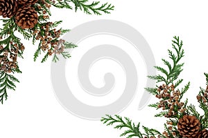 Winter Greenery Border with Cedar & Pine Cones