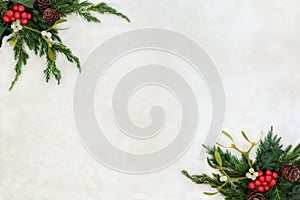 Winter Greenery Border with Fir Mistletoe and Holly