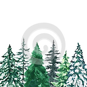 Watercolor snowy pine and spruce trees on white background. Winter evergreen forest landscape, greenery plants for holiday design