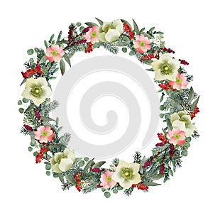 Winter greeting card, invitation. Watercolor Christmas wreath. Fir, eucalyptus branches,wild roses, hellebores flowers