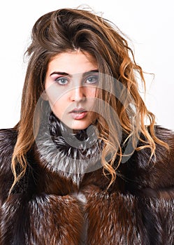 Winter hair care tips you should follow. Hair care concept. Girl fur coat posing with hairstyle on white background