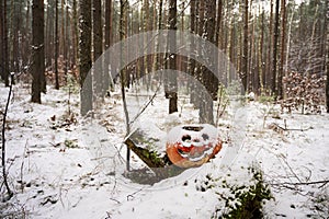 Winter Halloween forest