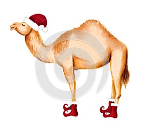 Winter happy camel in Santa hat and shoes. Christmas design for cards, backgrounds, fabric, wrapping paper. Merry Christmas and