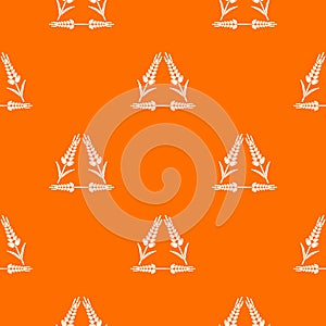 Winter-hardened wheat pattern vector orange