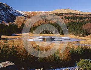 Winter, Harrop tarn, Cumbria