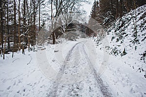 Winter in Harz Mountains National Park, Germany. Moody snow covered landscape in German forest