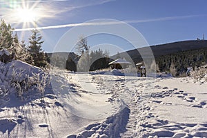 Winter Harz National Park, Germany