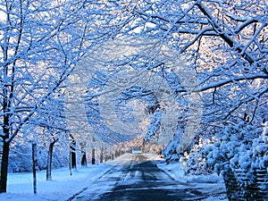 Winter has shortest days, longest nights and lowest temperatures than all other seasons .