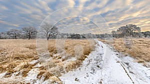 Winter heathland landscape panorama Assen Drenthe