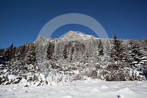 Winter on high mountains