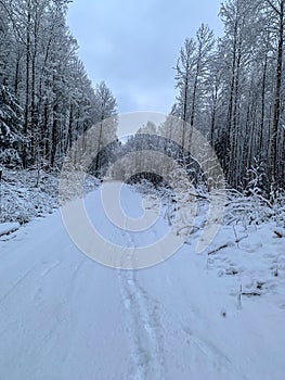 Winter with high snow in the solitude of Sweden