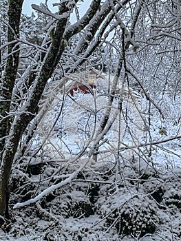 Winter with high snow in the solitude of Sweden