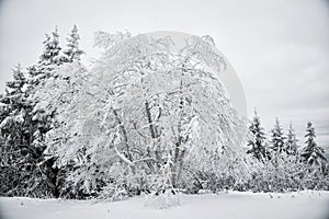 Winter hike