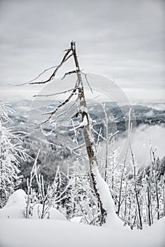 Winter hike