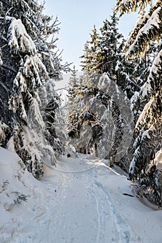 Winter hike