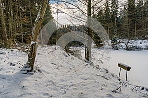 Winter hike around Lake Hosskirch near Koenigseggwald photo