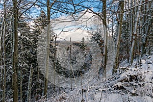 Winter hike around Lake Hosskirch near Koenigseggwald photo