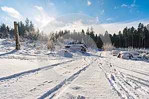 Winter hike around Lake Hosskirch near Koenigseggwald photo