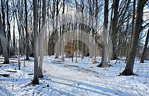 A Winter Hike in Waterloo Region