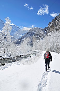 Winter Hiker