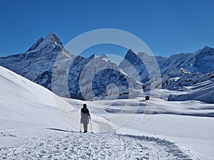 A winter hiker walking on a groomed trail near Bachalpsee with view towards schreckhorn