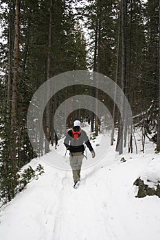 Winter Hiking photo