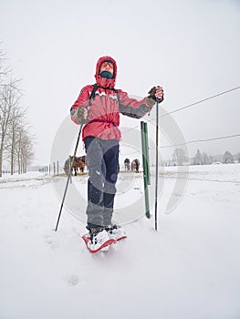 Winter hiking on snowshoes at electric fence of horse paddock
