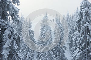 Winter Hiking During Snowfall in the Mountain Forest