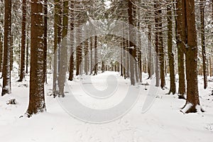 Winter hiking trail in the Thuringian Forest