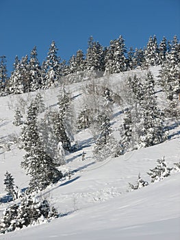 Winter Hillside