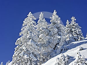 Winter at Hirschberg