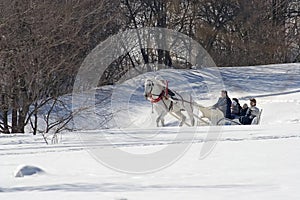 Winter holiday