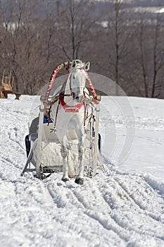 Winter holiday