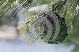 Winter holiday concept: decoration in the form of pear in green color and frozen snow covered pine tree in forest preserve